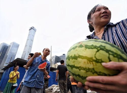 朝阳群众吃瓜网登不上,揭秘背后真相