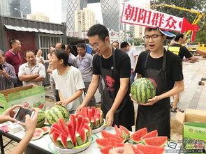 朝阳群众吃瓜网登不上,揭秘背后真相
