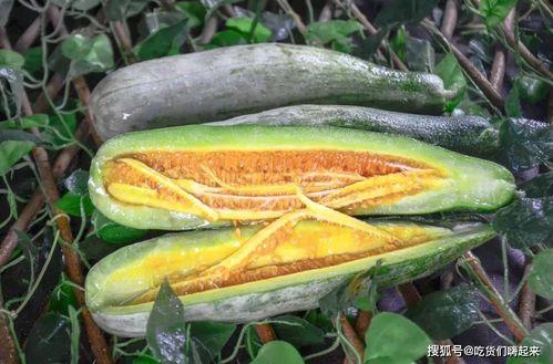 网红吃瓜免费入口在哪里,独家攻略大公开
