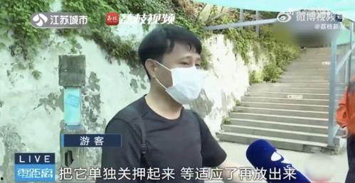 网红分手后吃瓜,吃瓜群众热议，昔日情侣现状揭秘